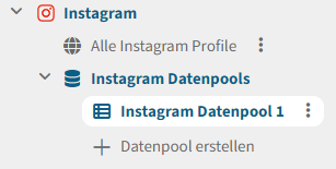 Datenpools-instagram.png